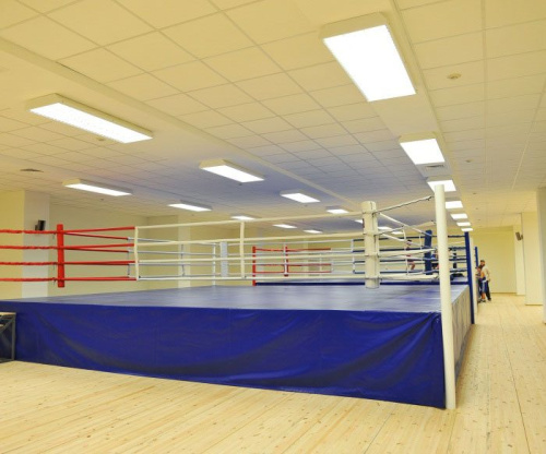 Ринг боксерский на помосте разборный: помост 7,5х7,5 м, высота 1 м, три лестницы, боевая зона 6х6 м 