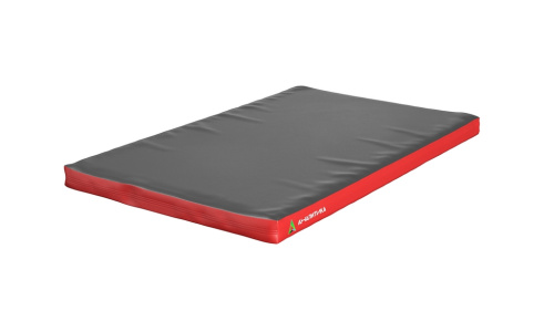 Мат для брусьев школьных  2,13х0,43х0,06м (верх чехла тент низ армир.тент, наполнитель ППЭ)