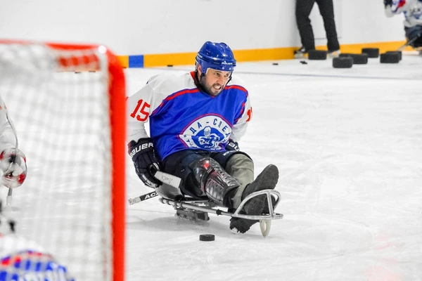 Сани для следж-хоккея