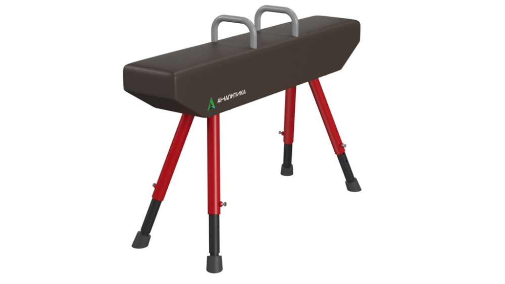 Конь гимнастический (с ручками) маховый 