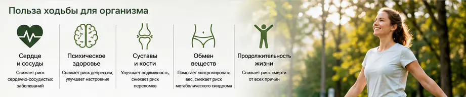 воз3.png воз3.png