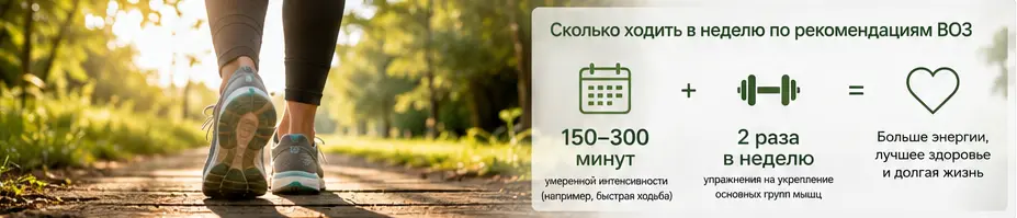 воз2.png воз2.png