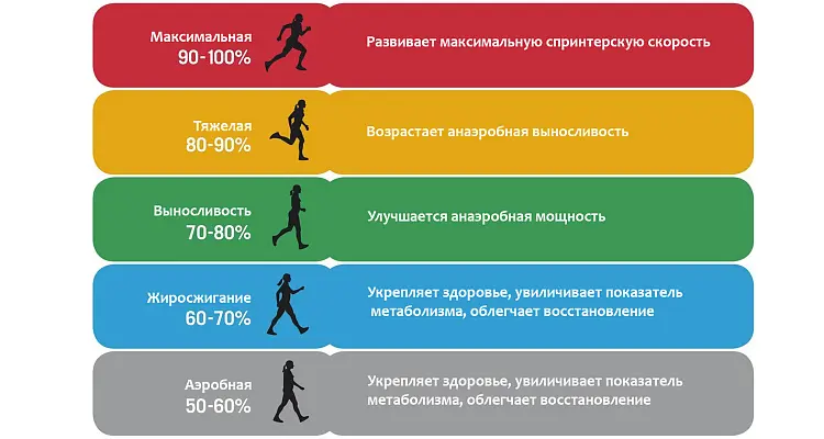 Оптимальный пульс для жиросжигания при занятии на кардиотренажере: Искусство Максимальной Эффективности