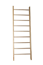 Стенка гимнастическая шведская  800х2800мм