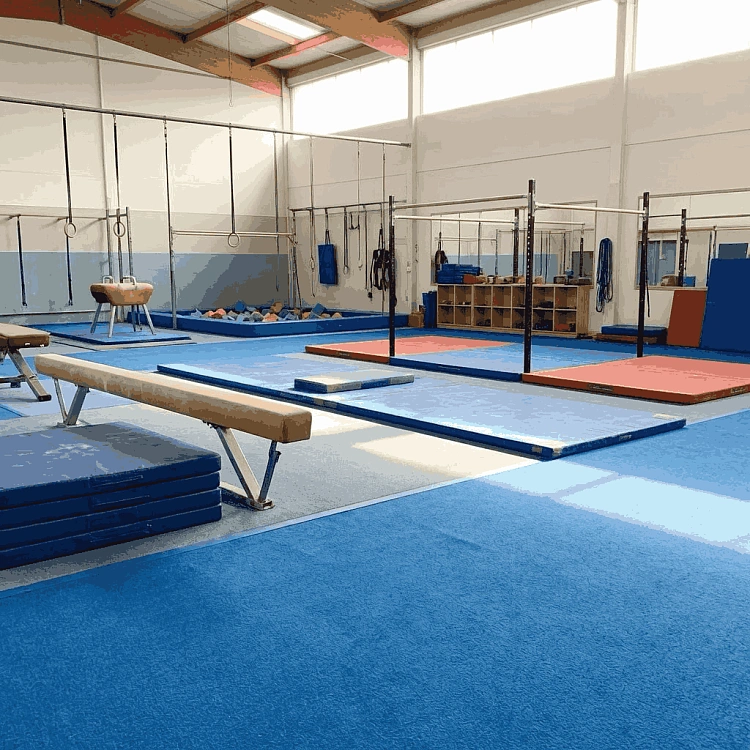 Как оснастить спортзал для занятий гимнастикой: оборудование и аксессуары