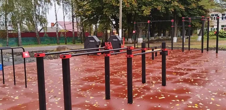 Польза утренней гимнастики: заряд энергии и здоровья на весь день