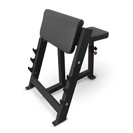 Скамья Скотта BRONZE GYM PARTNER AL-303